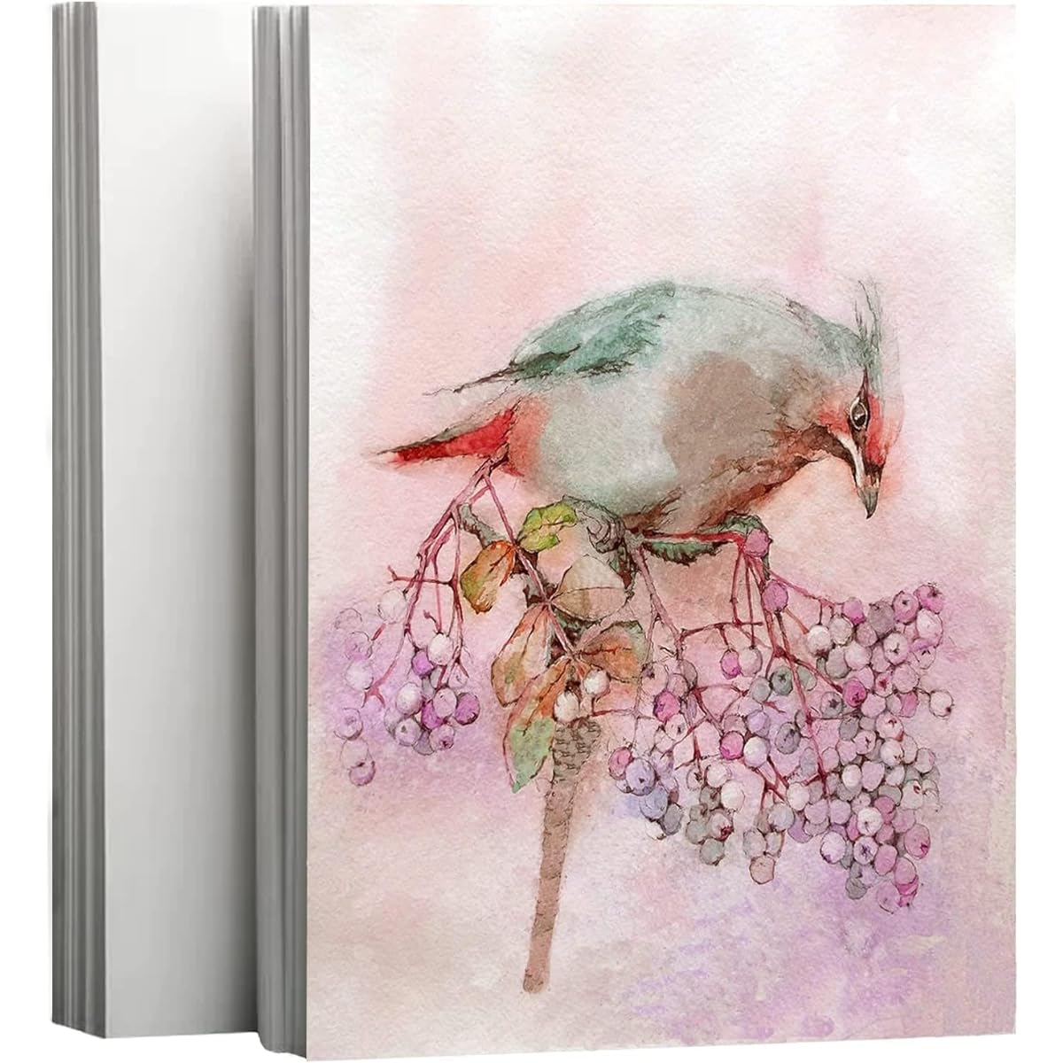 Pack of 100 Watercolor Paper Cotton 140lb/300GSM Thick Off-White Cold Press Paper for Kids Watercolor Paper Painting Art Creations Drawing Supplies 9 x 12 Inch