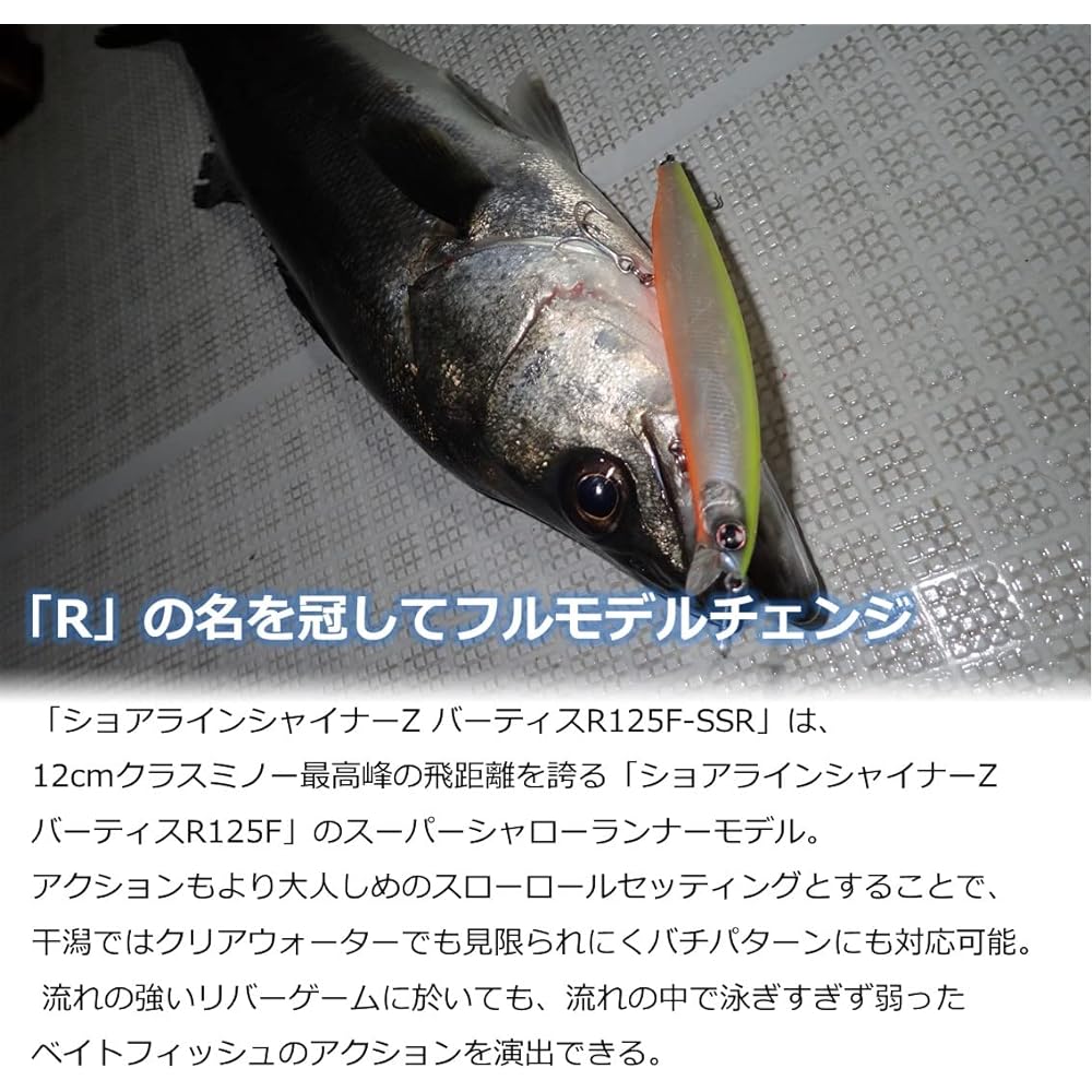 DAIWA Seabass Lure Shoreline Shiner Z Vertis R125F-SSR