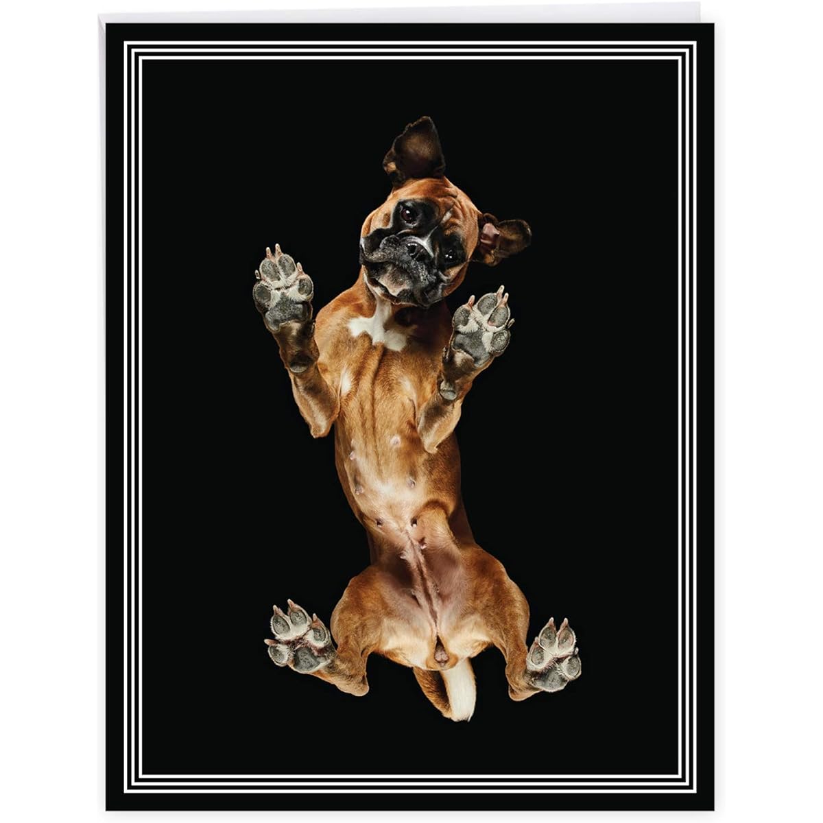 The Best Card Company - Jumbo Miss You Greeting Card (8.5 x 11 inches) - Boxer Breed Cute Group Card for Kids - Big Under Dogs J7187AMYG
