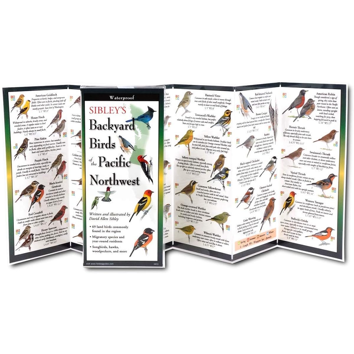 Steven M. Lewers Earth Sky Water LEWERSBBP119 Sibleys Backyard Birds of the Pacific Northwest Posters
