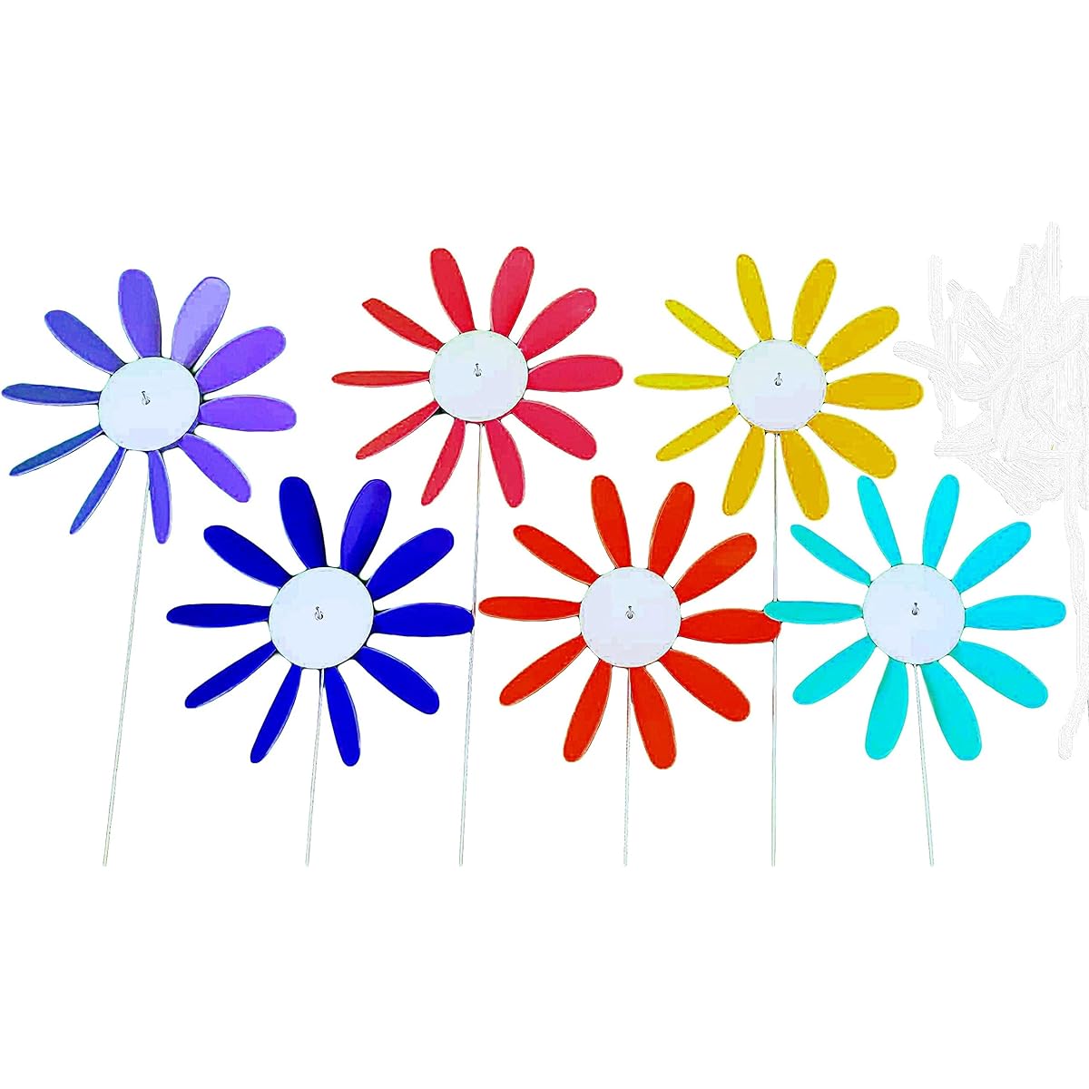 Beloit Plastics Daisy6M Daisy, Spinning - Pack of 6
