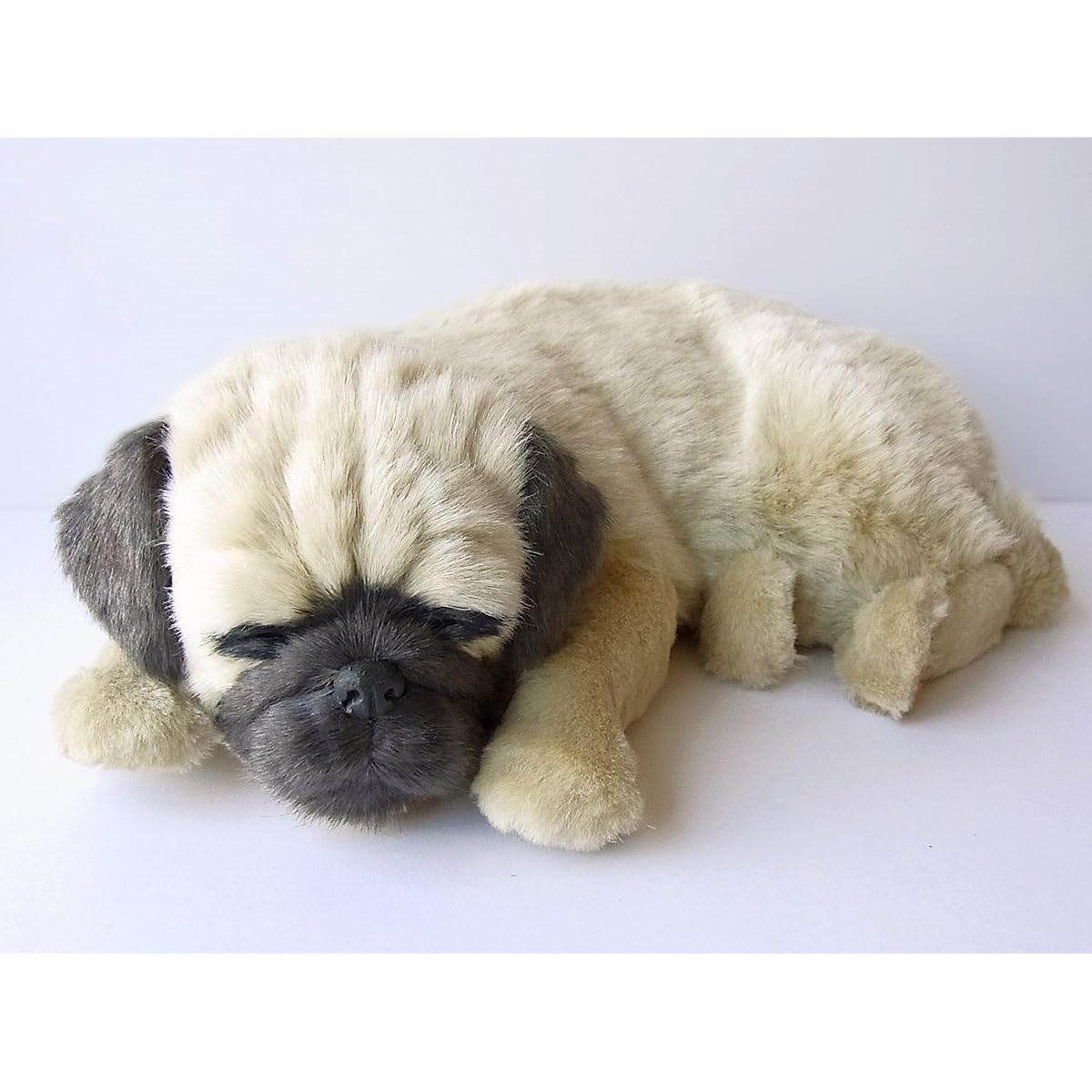 Nini and Kino Perfect Pet (Large Size) Pug (Fawn) Stuffed Toy Dog Realistic Look-alike Miscellaneous Goods Animal Healing Moving Present Gift Celebration Cute Dog Stuffed Toy