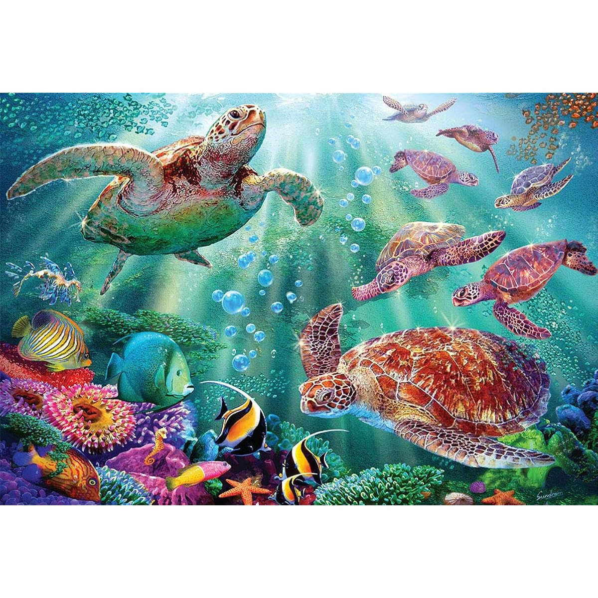 turtle's voyage