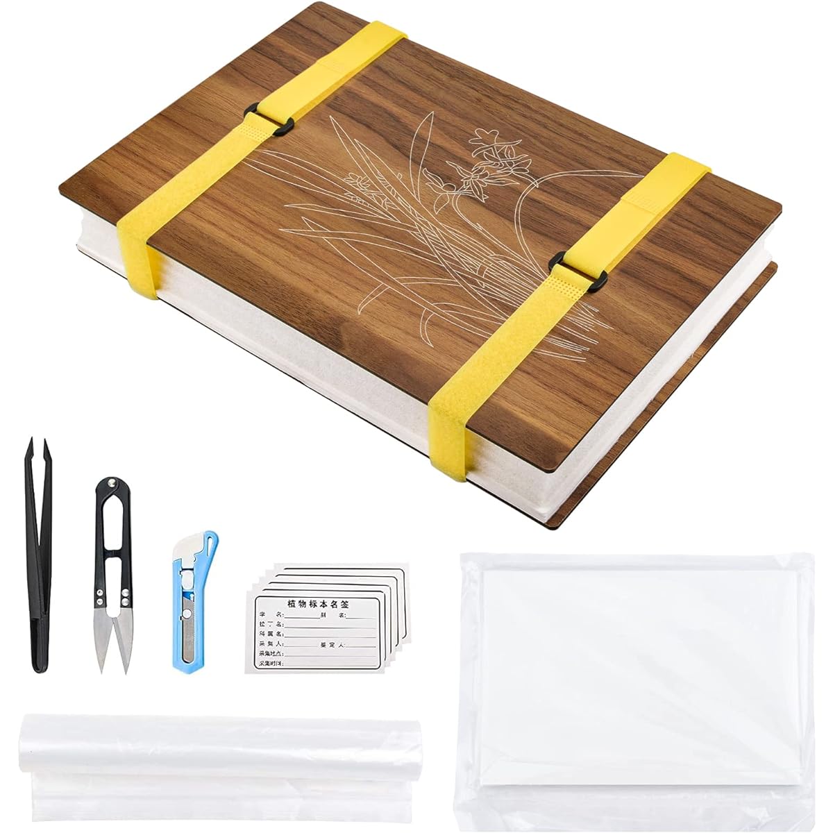 WANDIC Orchid Flower Press Kit Wooden Art Kit Plant Press Book Flower Fruit Press Kit DIY Art Craft Specimen for Outdoor Learning
