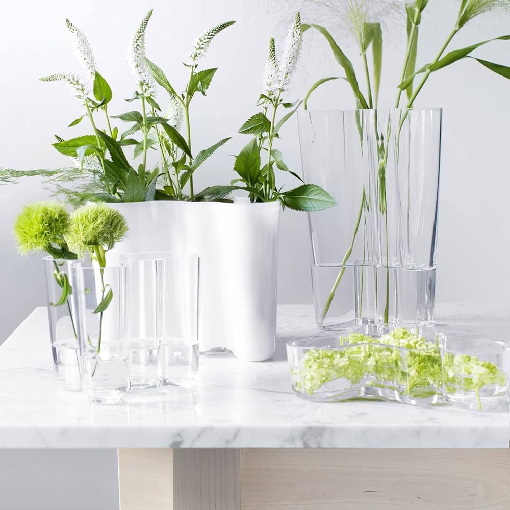 [Regular Imported Product] Iittala Alvar Aalto Collection Bowl Dish 50 x 195mm Clear 1007035