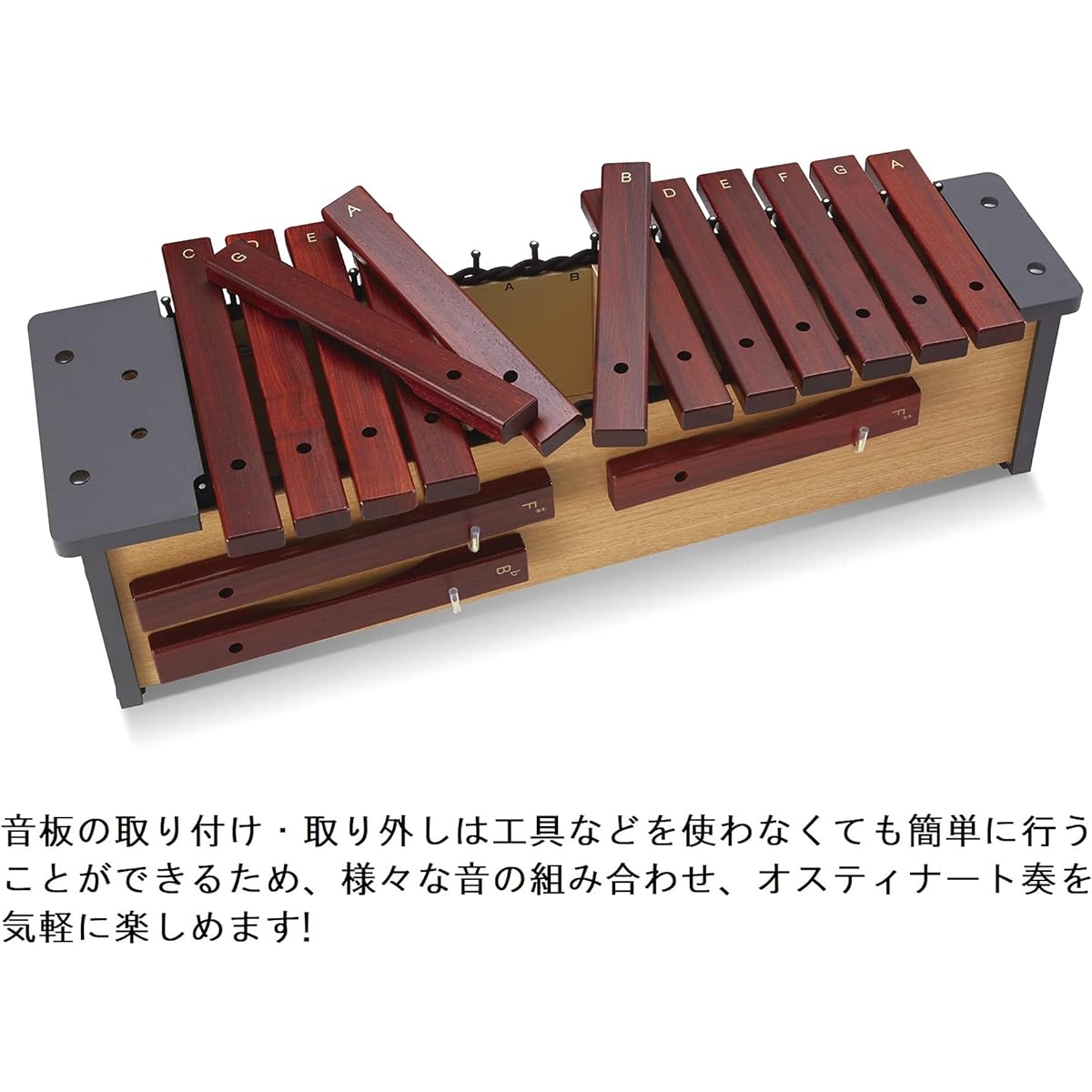 SUZUKI Suzuki Orff Musical Instrument Zylohorn Alto 16 notes XPA-16 13 main notes + 3 derived notes