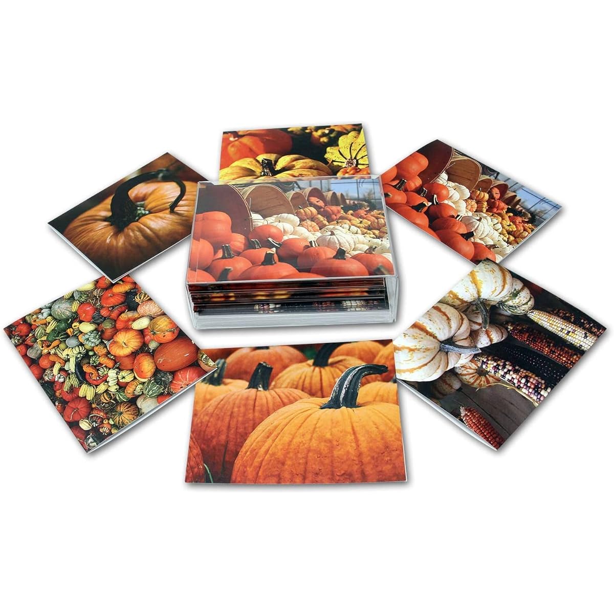 Small World Greetings Pumpkins and Gourds Blank Note Cards - 24 Pack - Fall Greeting Cards with Envelopes - 6 Unique Designs - 5.5"x4.25" (24 Pack)