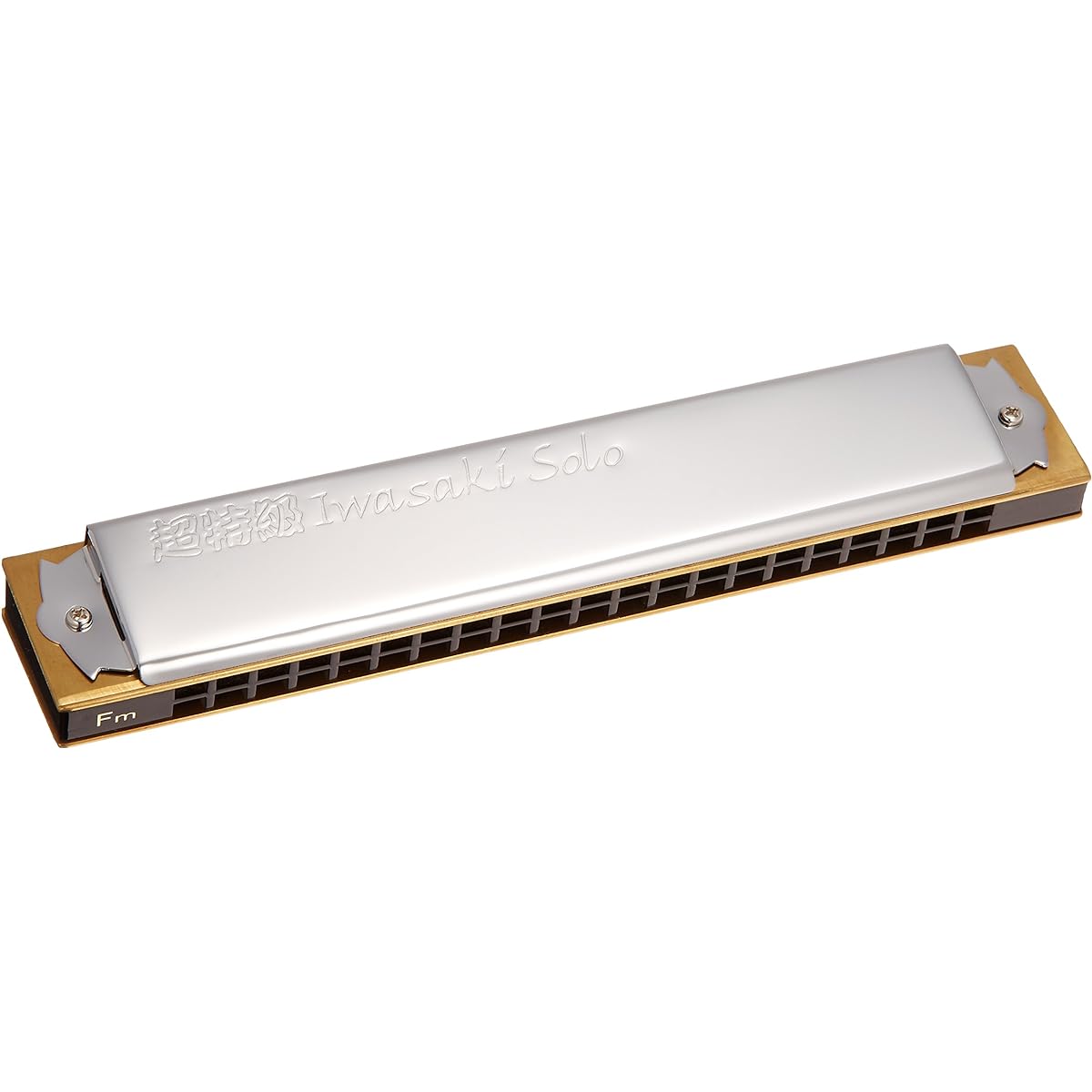 TOMBO double tone harmonica super special grade Iwasaki solo 1921S-Cm