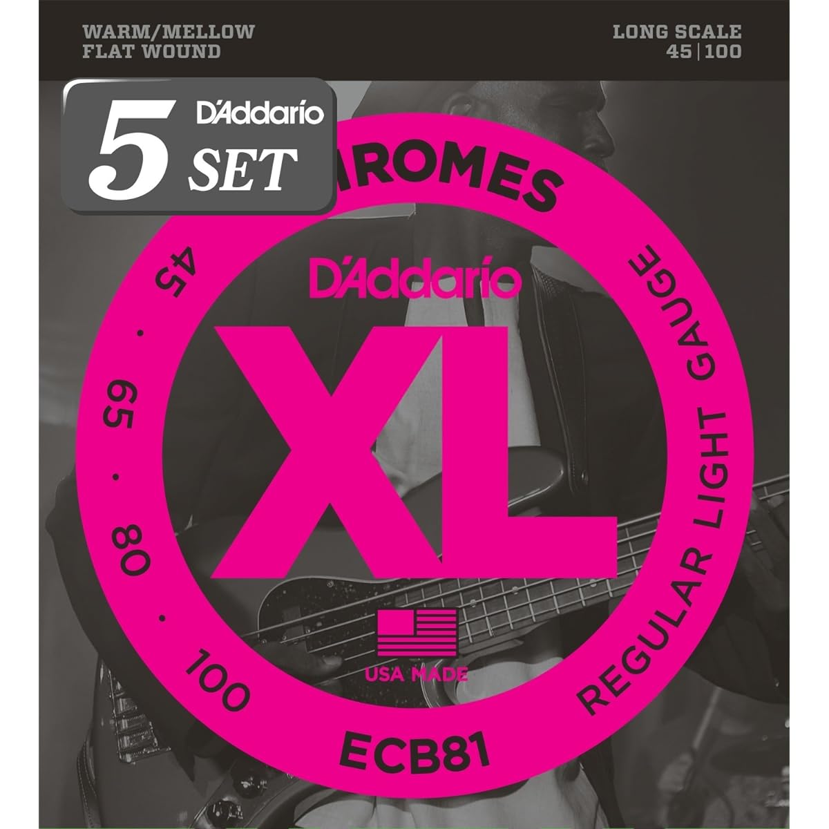 D'Addario Bass Strings Flat Wound Long Scale .045-.100 ECB81 x 5 Set [Domestic Genuine Product]