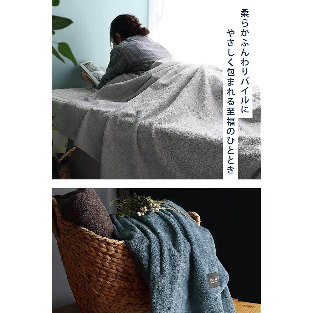 sensui Towel Blanket, Highest Grade Extra Long Cotton, Made in Japan, Bedding, Antibacterial and Odor Resistant, Double Sided Pile, Single Size, Approx. 140 x 190 cm, Light Gray