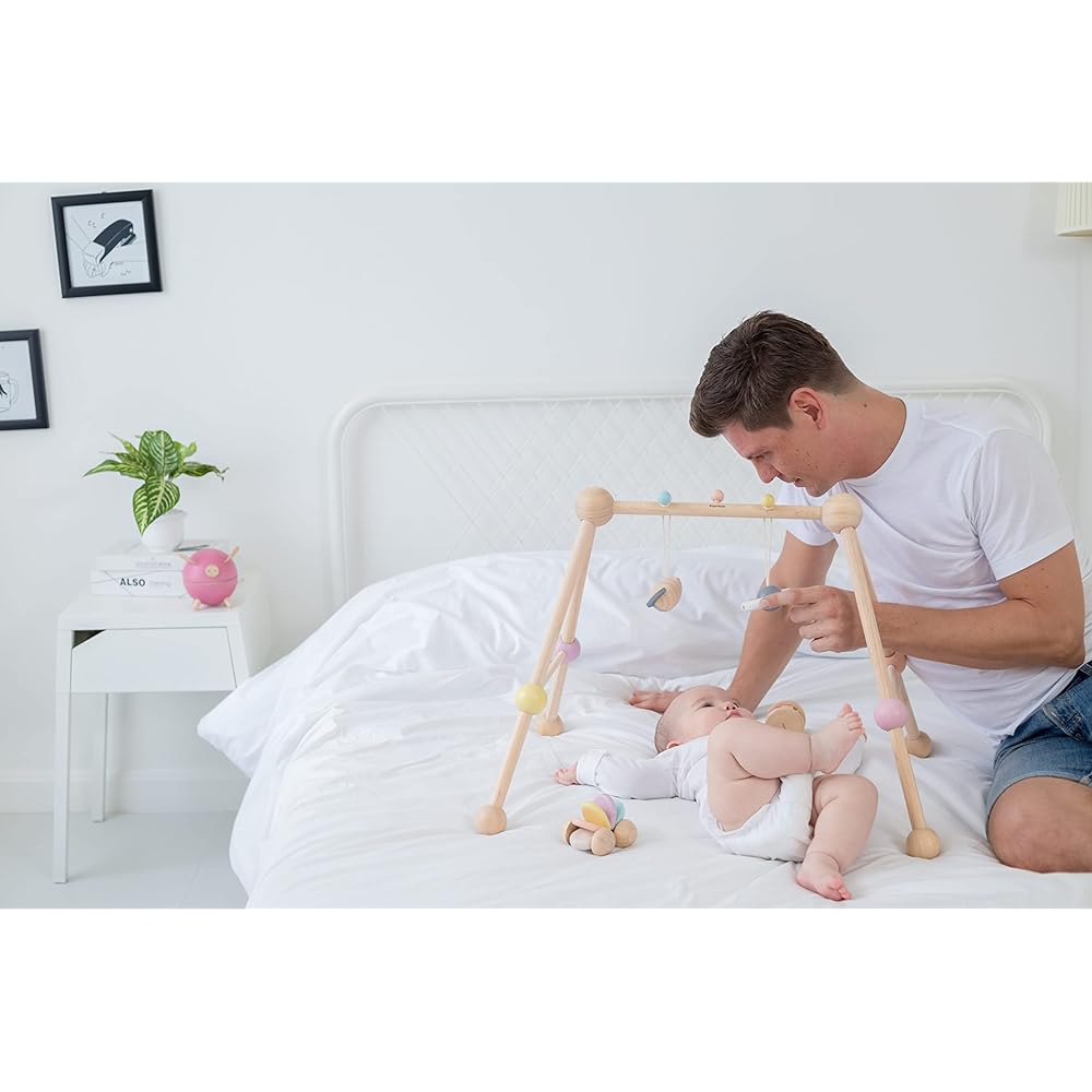 PLANTOYS JAPAN Play Gym 5260