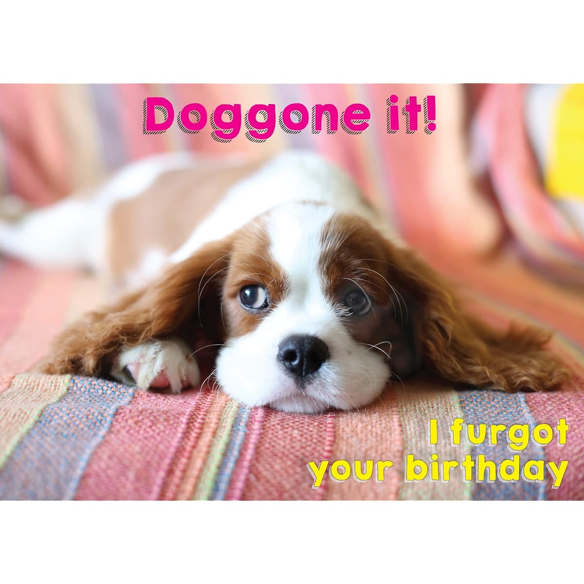 Glory To Dog Doggone It! I Furgot Your Birthday Greeting Card