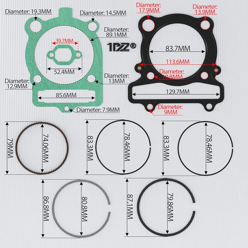 1PZ PCT-Y4B Engine Piston Cylinder Top End Kit (Silver) Replacement for Yamaha Big Bear Warrior Grizzly Raptor Bruin Wolverine 350 1987-2011 1UY-11310-03-00 5YT-11310-00-0