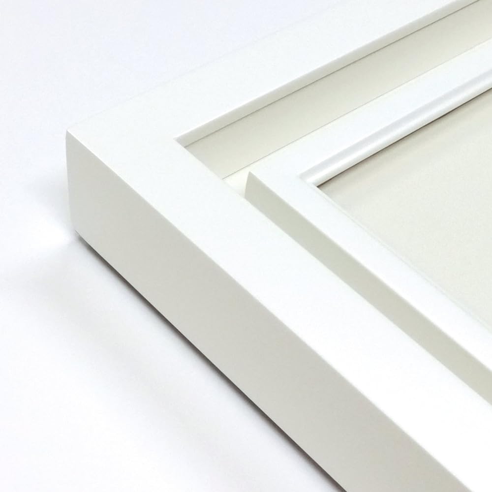 Doshisha Oil Painting Frame Duet Acrylic Specification (Off White, F3)