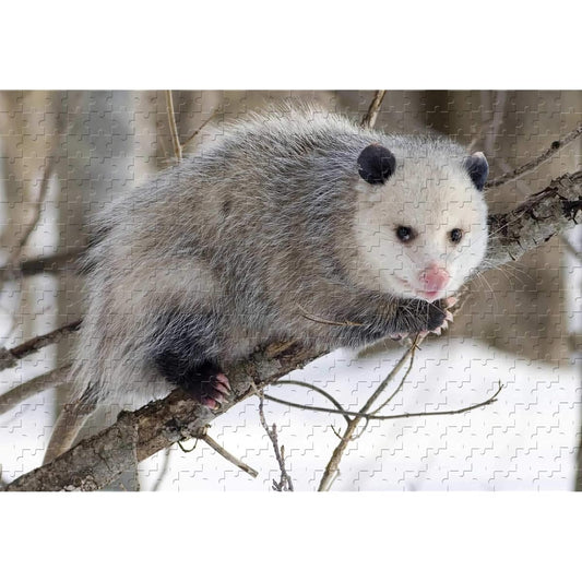 Animal Opossum 1000 Piece Jigsaw Puzzle 29.5x19.6ft Wooden Puzzle