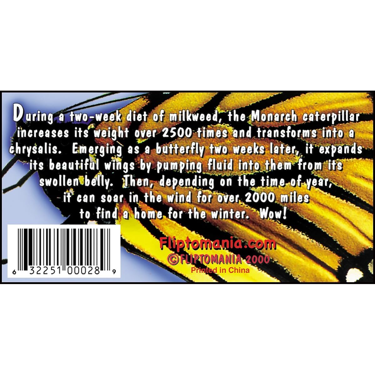 Fliptomania Nature Flip Book Set of 3 (Butterfly, Hummingbird, Frog)