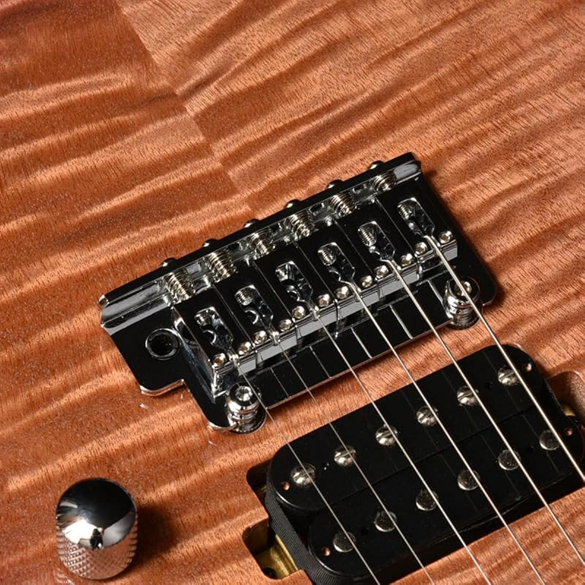 BACCHUS TAC24 FMH-RSM/M N-BR-B Electric Guitar