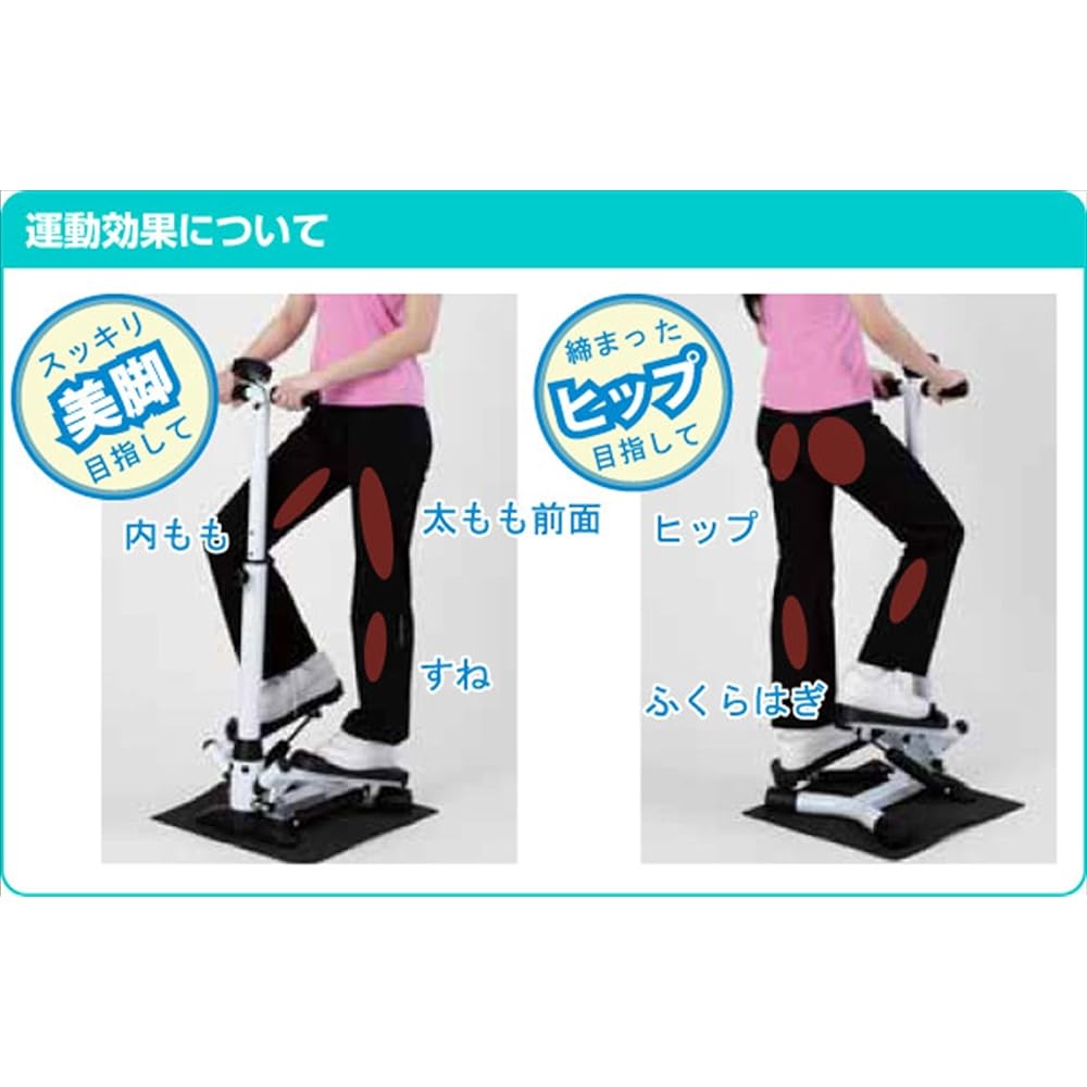 ALINCO Stepper with Handle FA4016 with Protective Mat