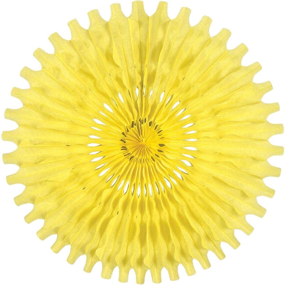 Beistle Tissue Fan 12 Pieces 25 Inch