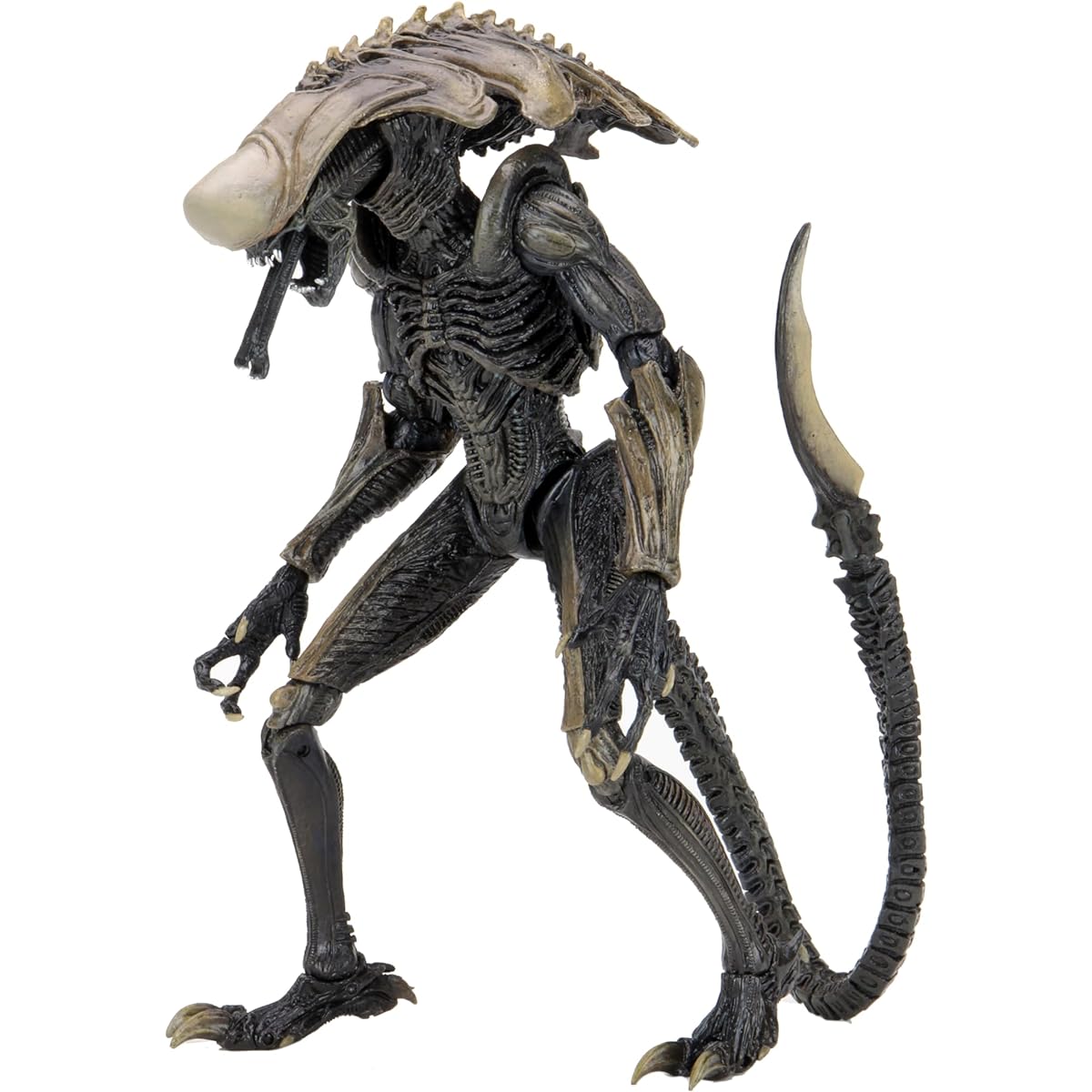 NECA Collectibles Alien vs. Predator Game Movie Ultimate 9" Action Figure - Chrysalis Alien