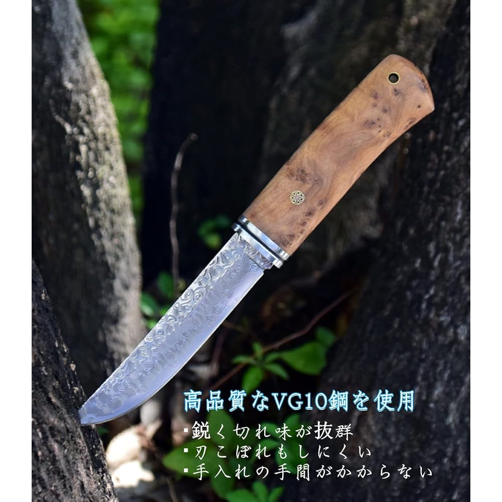 Irai Utaki Outdoor Knife Sheath Knife [Kaedehara Samurai] Blade Thickness 3.8mm 67 Layer Damascus Knife Dripping Blade Pattern Natural Wood Handle with Wooden Sheath for Survival Camping Mountain Walking Disaster Prevention Hunting DIY