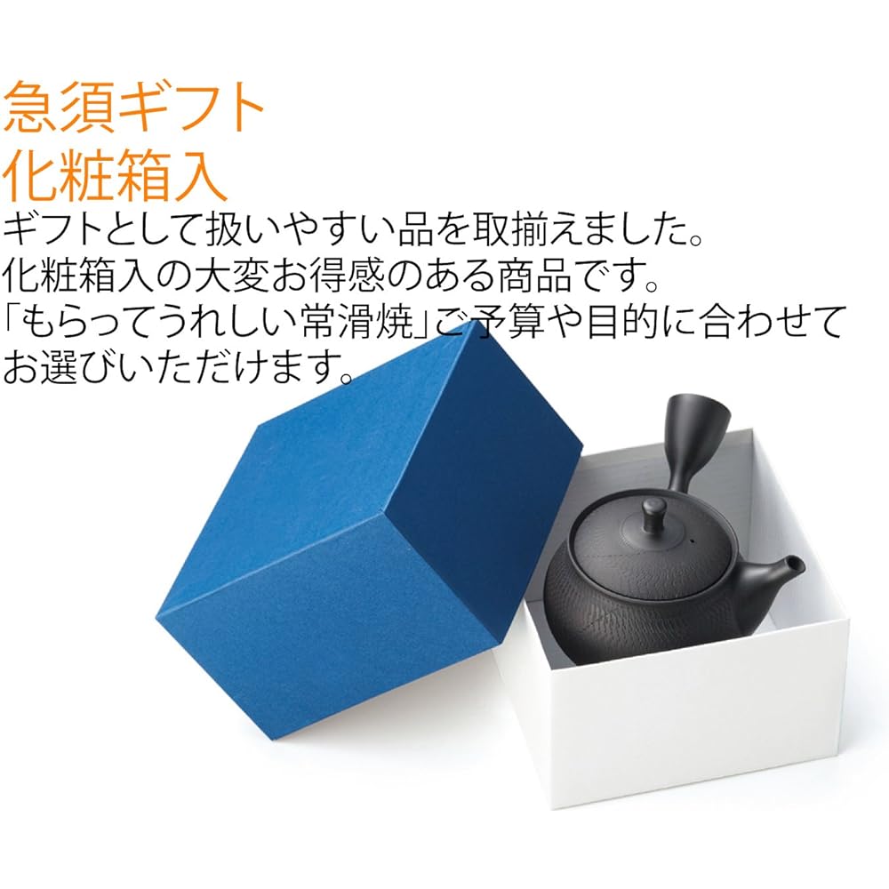 Tokoname ware teapot 7-154 Hokuryu No. 13 Shallow bag-shaped teapot 250ml Ceramesh for high-grade sencha Made in Japan Boxed T1258