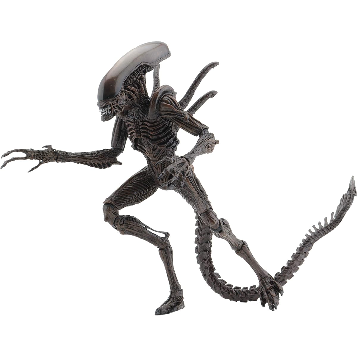 Neca - Figurine Aliens 3 - Alien Warrior Serie 14 18cm - 0634482516522