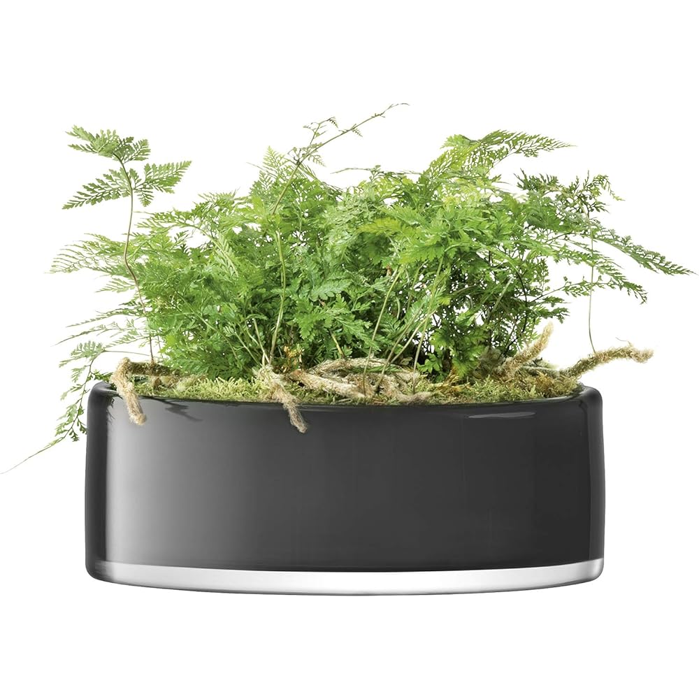 LSA Flower Base Gray W30xD30xH11cm LSA LSS19, G1573-30-847