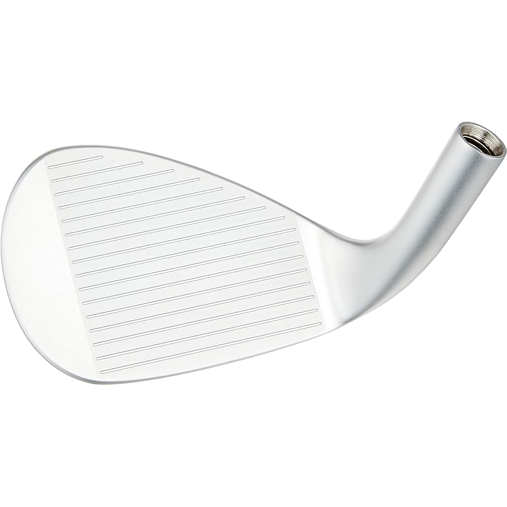 Kasco Club Head Dolphin Wedge Semi-Goose Type DW-120G HEAD