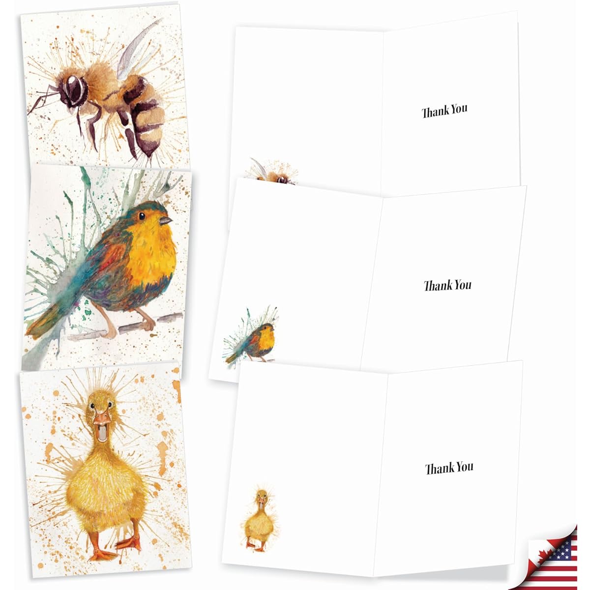 The Best Card Company Wildlife Splash - 20 Boxed Thank You Note Cards with Envelopes (4 x 5.12 inches) - AM2954TYG-B2x10