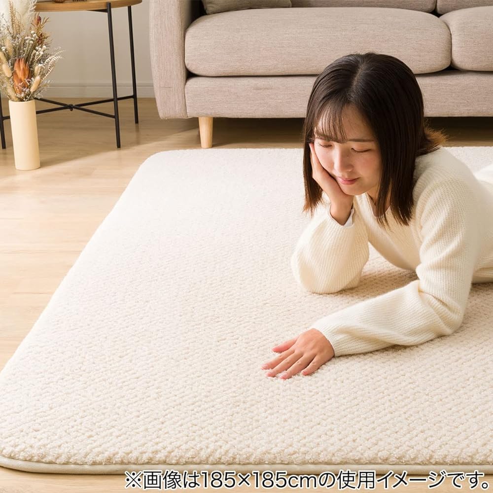NITORI Plump Cushion Rug Sheep Boa n 200X240 NR04 7225656