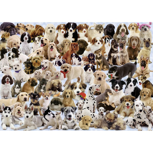1000 Piece Jigsaw Puzzle Dog Collage Hunde Collage (70 x 50 cm)