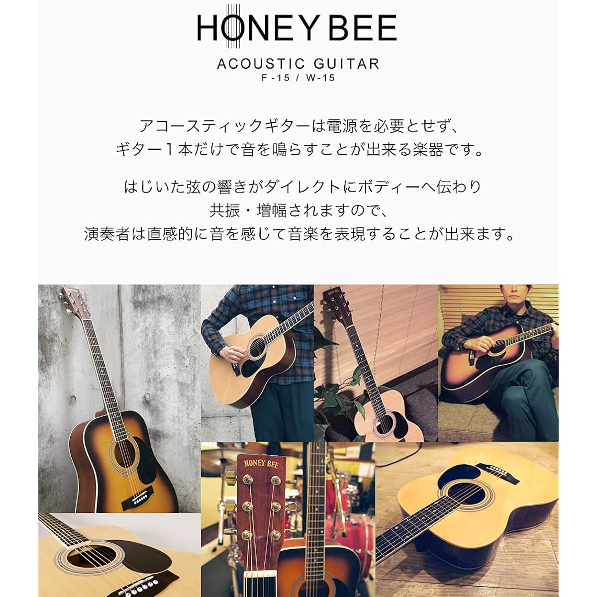 HONEY BEE Acoustic Guitar Folk Guitar Type F-15M/N Matte Finish Model Beginner 16-Piece Set