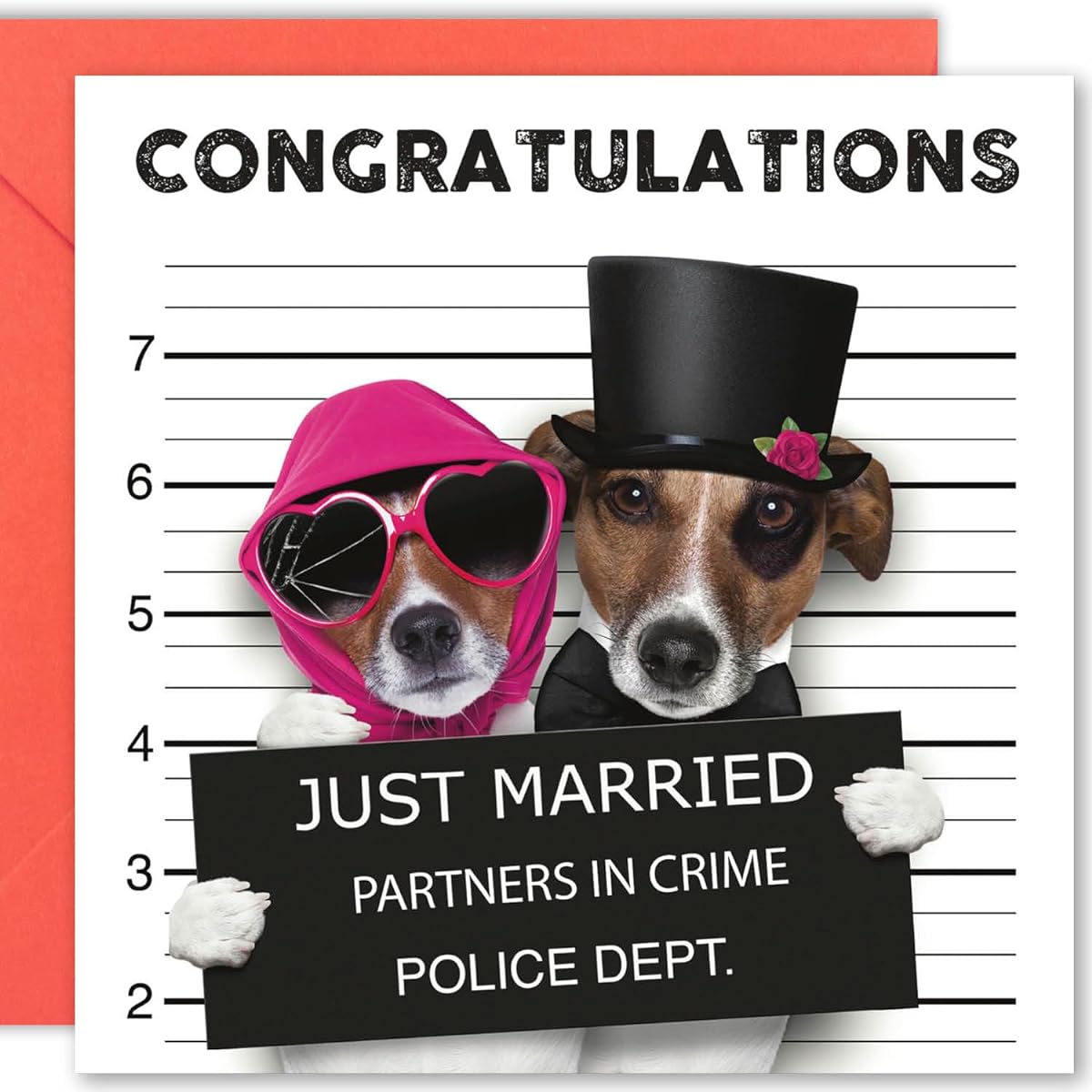Cult Kitty - Just Married Mugshot - Just Married Card - Just Married Gift Card - Funny Wedding Card Congratulations to the Bride and Groom - Wedding Gift Card - Newlywed Card