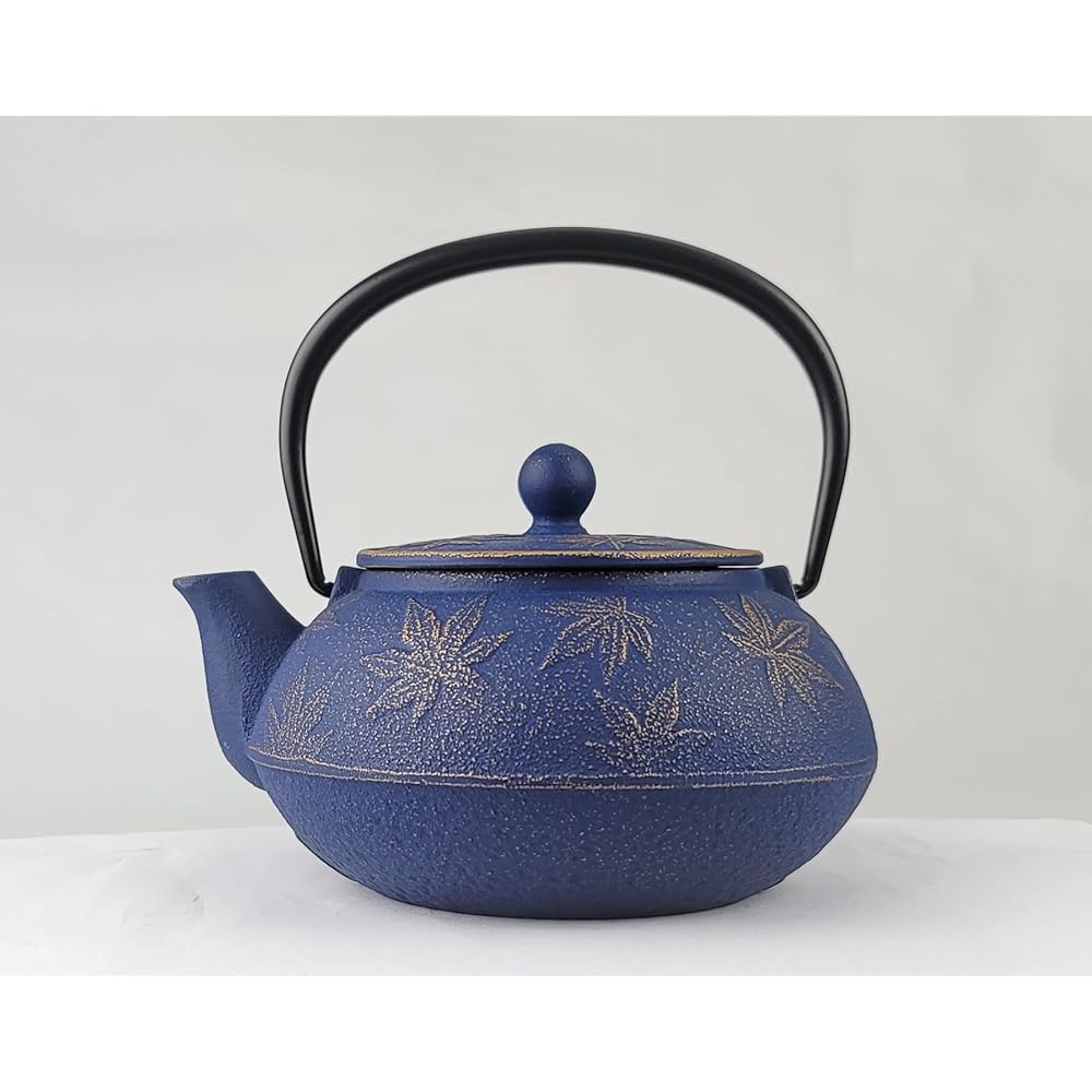 Iwachu Teapot 5 Type Maple Gold/EBU 0.65L Enamel Inside Nambu Ironware 45749