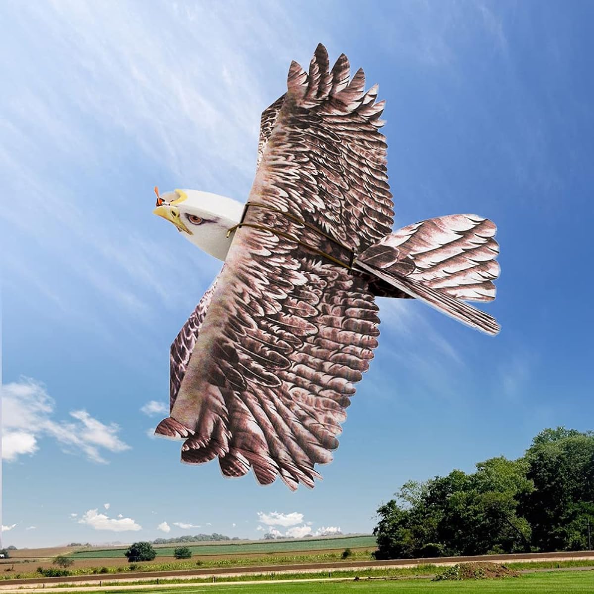 Bulaned Dancing Wings Hobby E1901 EPP RC Plane Eagle Airplane 1430mm Electric Aircarft Unassembled Kit Version DIY Flight Model