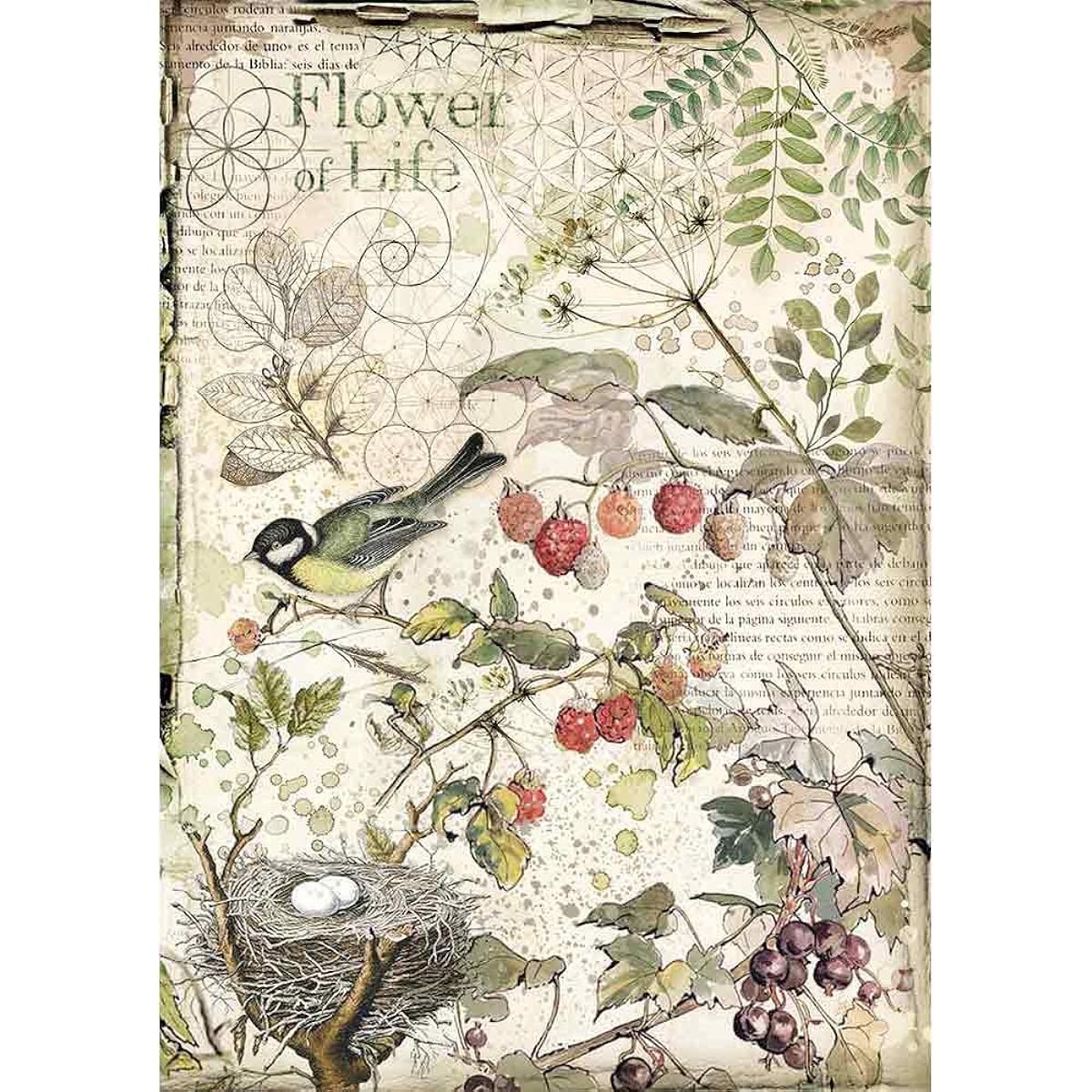 STAMPERIA INTERNATIONALL KFT DFSA4459 Rice Paper Pack A4 FLWR Fruits Flowers Fruits