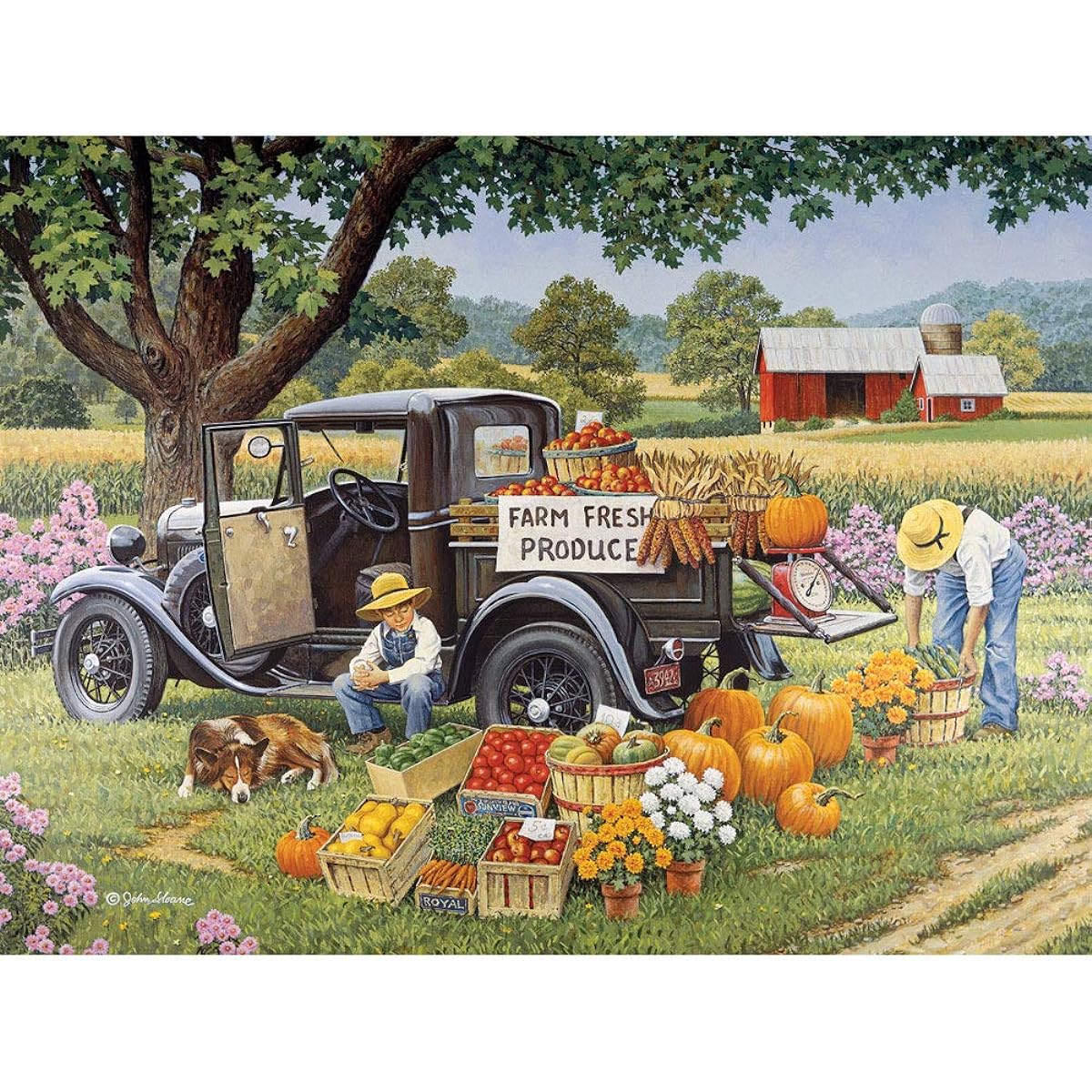 Bits and Pieces - 300 Piece Jigsaw Puzzle for Adults 46cm x 60cm - Home Grown - 300 pc Jigsaw by Artist John Sloane