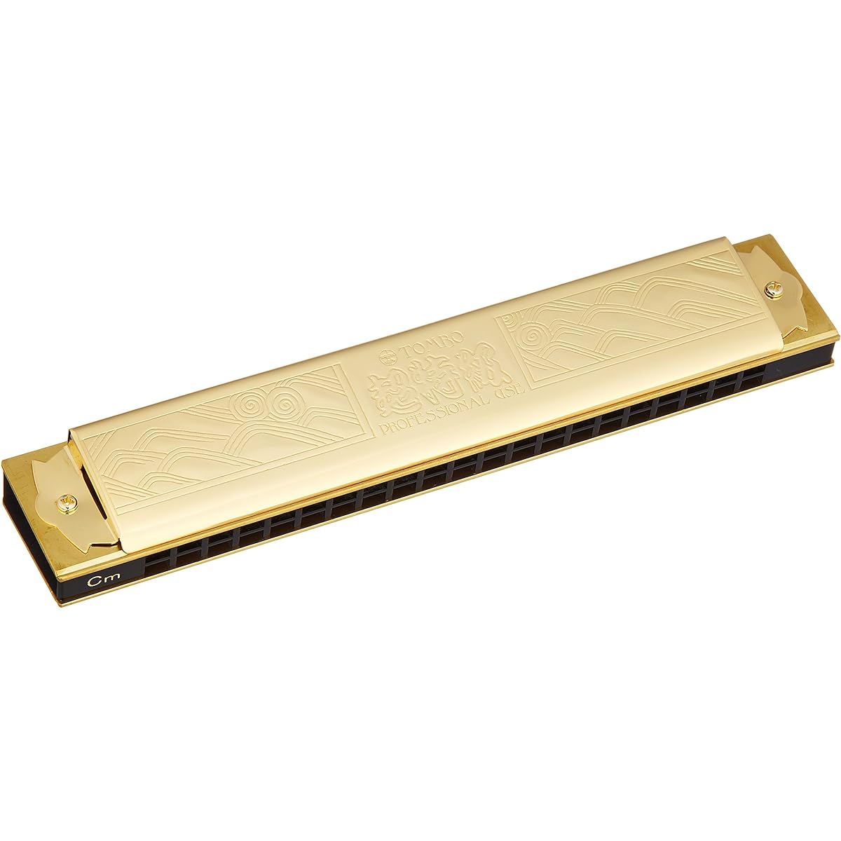 TOMBO double note harmonica super special grade 1921Gm