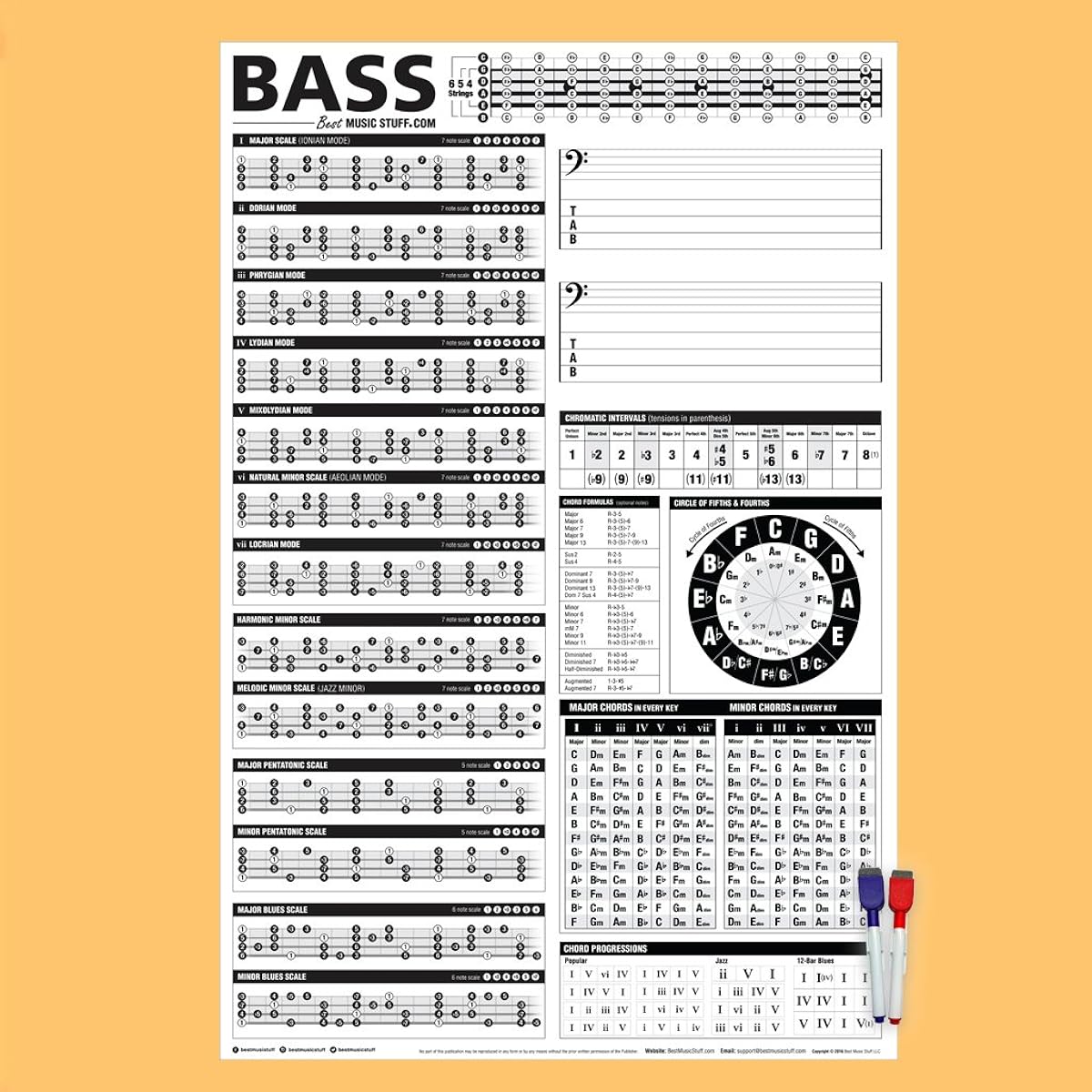 Best Music Stuff Interactive Bass Music Theory Logic Chart Creative Bass Reference Poster 60cm x 91cm (24" x 36") (Dry Erase) 602573435304
