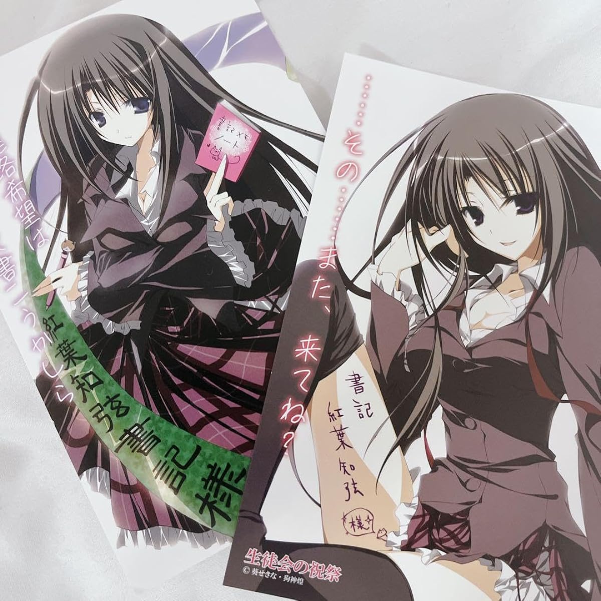 Seitokai no Ichizon Momiji Chizuru Postcard Set
