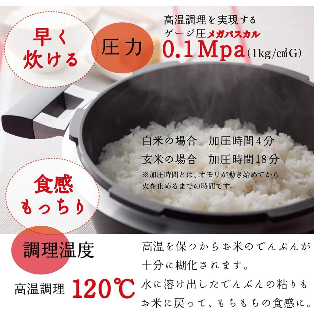 Hokuriku Aluminum Pressure Cooker 3L [IH Compatible] Lightweight EGG FORM External Heat Resistant Paint Fluorine Resin Processed Made in Japan Black