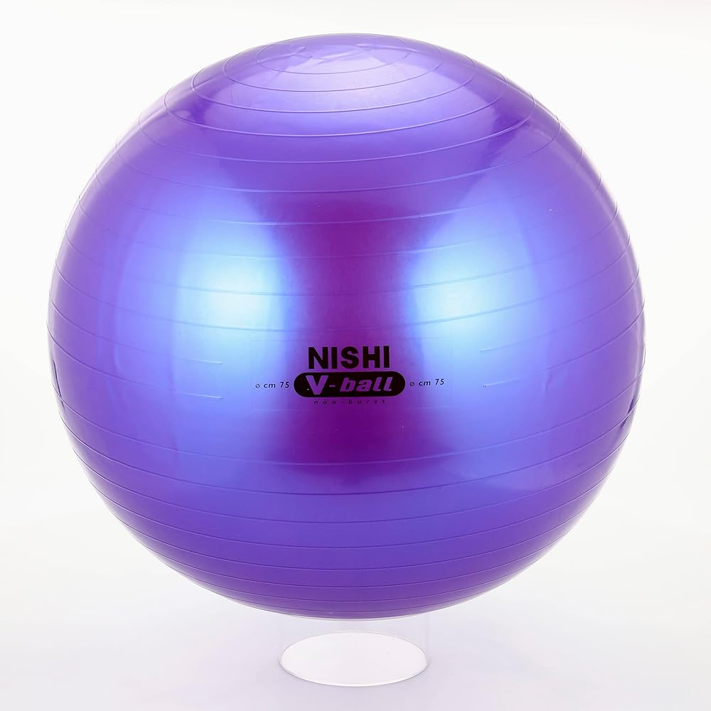 NISHI (Nishi Sports) Balance Ball Non-Burst V Ball