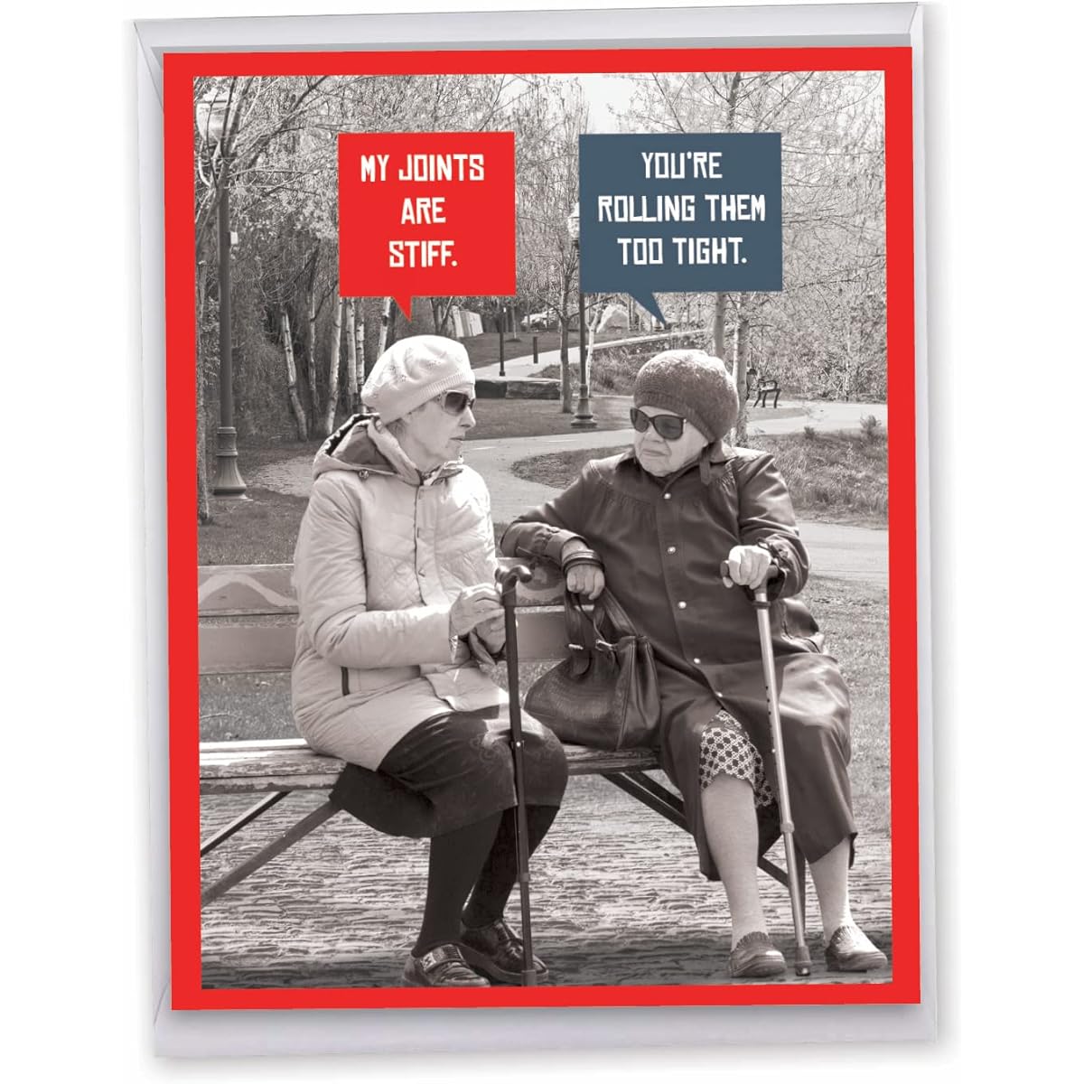 NobleWorks J10246BDG Jumbo Humorous Birthday Greeting Cards 8.5 x 11 Inch with Envelopes (1 Pack) Large Jumbo Birthday No Light Hard Joint