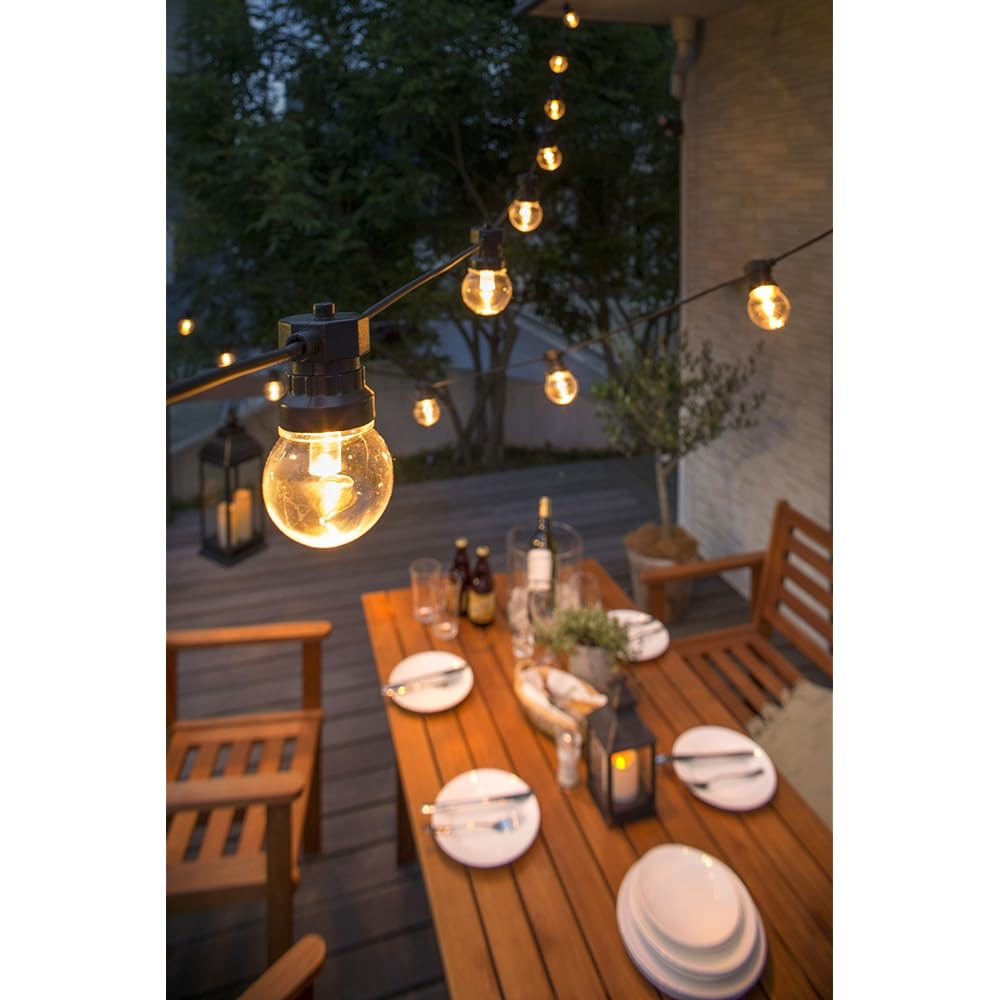Takasho Low Volt Party Light 10 bulbs