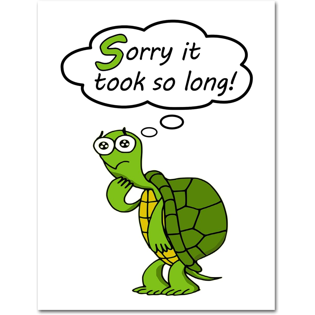 Small World Greetings Sorry It Took So Long Turtle Greeting Cards - Blank Inside - Includes 12 Cards and Envelopes - 5.5"x4.25"