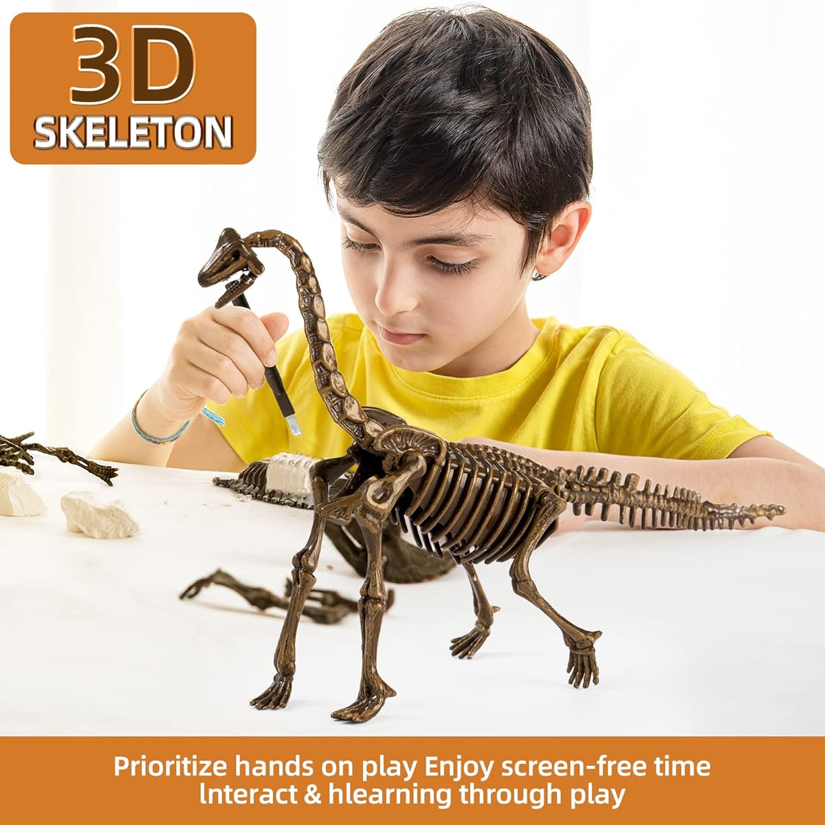 KidEwan Dinosaur Dig Fossil Kit for Kids Dinosaur Excavation Kit Educational Science Kit for Kids Dinosaur Skeleton Set for Boys Girls Basic Brachiosaurus