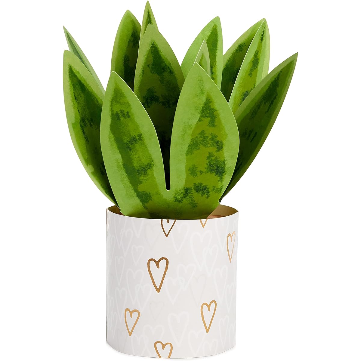 Hallmark Paper Wonder Pop-Up Valentine's Day Card Snake Plant