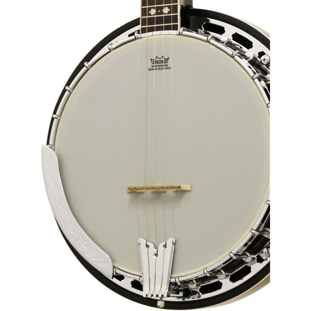 ARIA SB-40 banjo with hard case