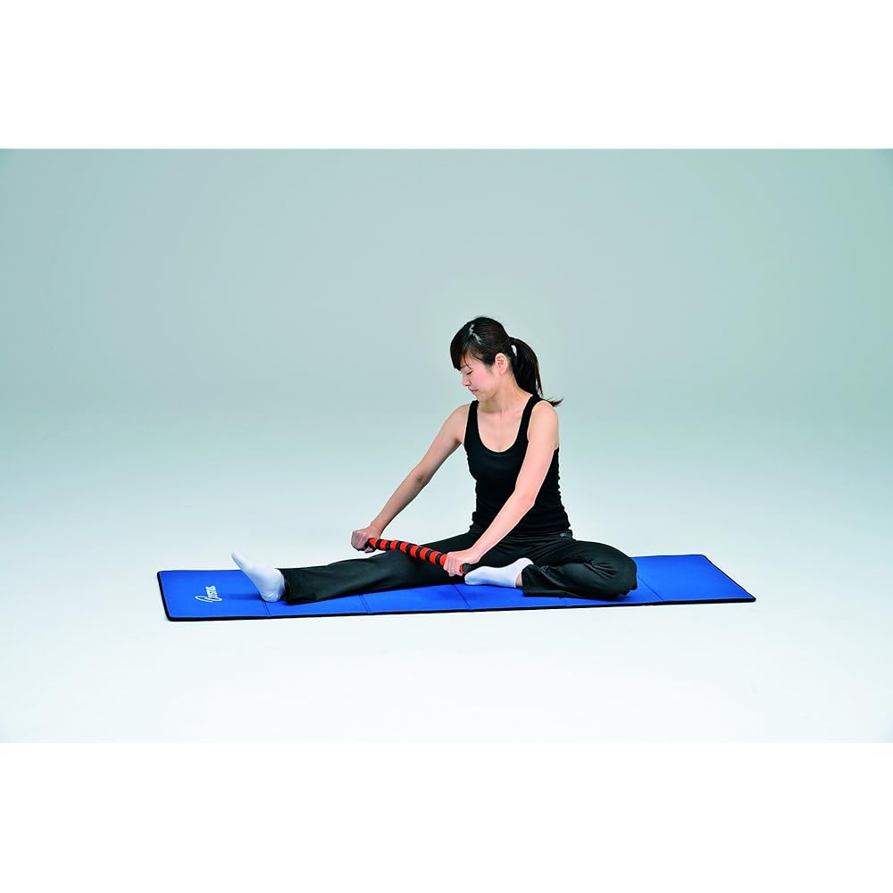 TOEI LIGHT Massage Stick Roller H7253